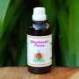 Shepherd’s Purse Tincture 100ML Willow
