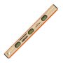 Swanson Savage Masonary I-beam Level 24
