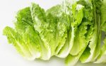 Lettuce Cos 120G P