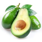 Avocado Fuerte 20LT