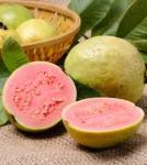 Guava Concentrate S supa - 10ML