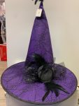 Purple And Green Halloween Witch Hat