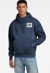 G-star Raw Gs Raw Back Gr Hdd Loose Sw Dry Ashor Sweat - Salute