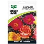 Portulaca Double Flowers Seeds