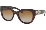 Bvlgari BV8214B Polarized