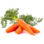Veg Carrots Kg