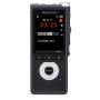 DS-2700 Digital Voice Recorder
