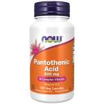 Pantothenic Acid 500MG – 100 Veg Capsules