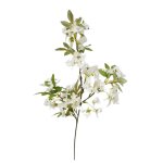 - Jasmine - White - 79CM