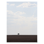 Swartland 1 Art Print - A4