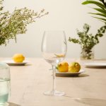 Vino Red Wine Glasses Set Of 6