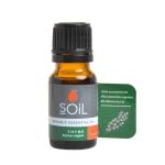 Organic Thyme Essential Oil