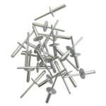 4.8X10MM Alum Blnd Rvt Lrg Flange PK30