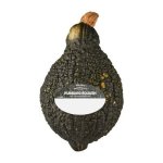 Pnp Medium Hubbard Squash