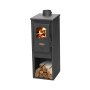 Econofire Eva Closed Combustion Fireplace