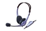 Headset With Noise-canceling Microphone