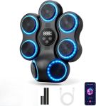 Smart Music Boxing Target With Bluetooth LED Lights & 9 Speed Modes