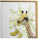 Giraffe With Camel Thorn Greeting Card