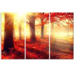 Red Forest Art Photography Print On Canvas Triptych 1400 X 970