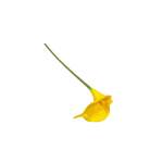 Arum Lily 70CM - Yellow