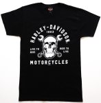 H-d Goldrand Dealer T Shirt -HDR40291513