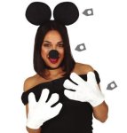 Mickey Accessory Kit