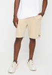 Converse Chuck 70 Shoe Patch Short - Oat Milk