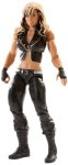 Wwe Series 36 Superstar 12 Kaitlyn Action Figure