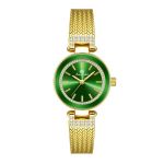 Bs Watch Middle-aged Watch Ladies Fashion Trend Brand Advanced
