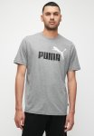 Puma Ess+ 2 Col Logo Tee - Gray Wht Skies