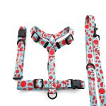 Melon-dramatic Collar Lead And Harness Bundle - Large