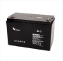 Vision 12V 100AH Deep Cycle Agm Battery