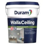 Wall And Ceiling Paint 20L White