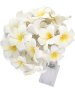 Frangipani Fairy Lights 3M Battery Operated