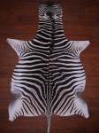 A Grade Zebra Hide 071 L