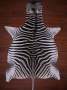 A Grade Zebra Hide 071 L