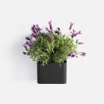 Sucasa Herb Box