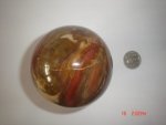 Petrified Wood Stone Ball SSP326