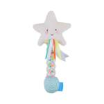 Star Rainstick