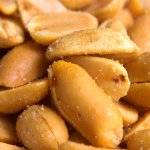PeaNUTS – Salted