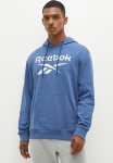 Reebok Identity Big Logo Ft Hoodie - Uniblu