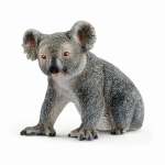 Wildlife - Koala Bear
