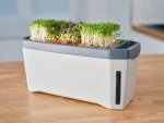 Harry Herbs Planter
