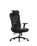 Minhaj Sapphire Ergonomic Chair