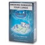 Premium Hookah Tobacco 50G - Gum Freeze