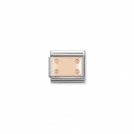Rose Gold Smooth Plate With Screws Link