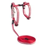 CAT Rogz Z Sparkle 11MM Small H-harness And Lead Combination Red Waggs Pet Shop