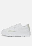 Puma Dinara