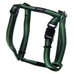 Rogz Pavement Special Small 11M Midget Dog H-harness Green Design Waggs Pet Shop