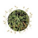 Lemongrass Cut - 75G